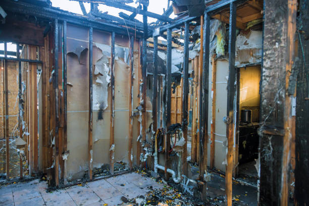 Professional Fire Damage Removal technician working in Kentwood, LA